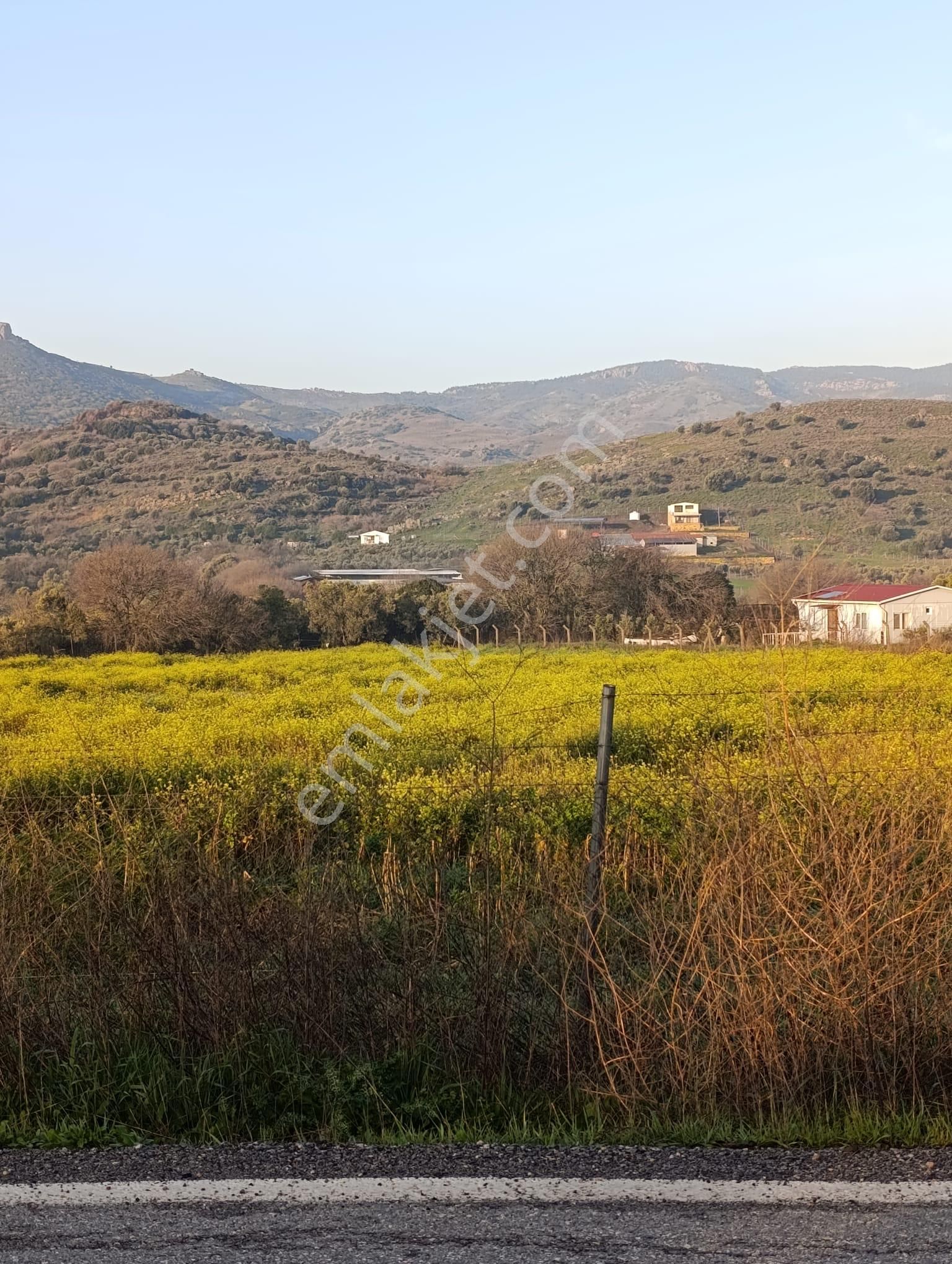 Foça Bucak Mevkiinde Satılık 1500m2 Hisse Tapulu Arazi - Görsel 18