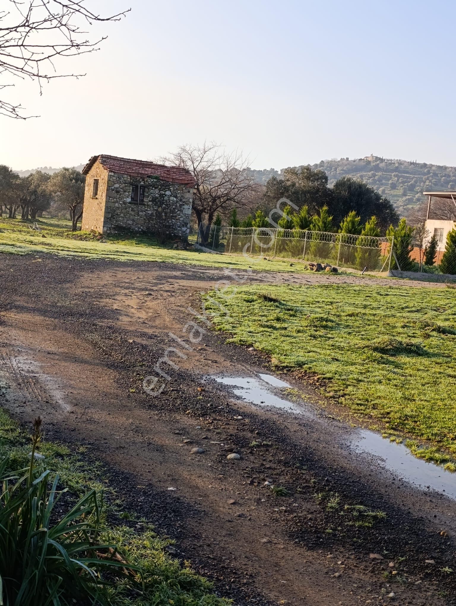 Foça Bucak Mevkiinde Satılık 1500m2 Hisse Tapulu Arazi - Görsel 9