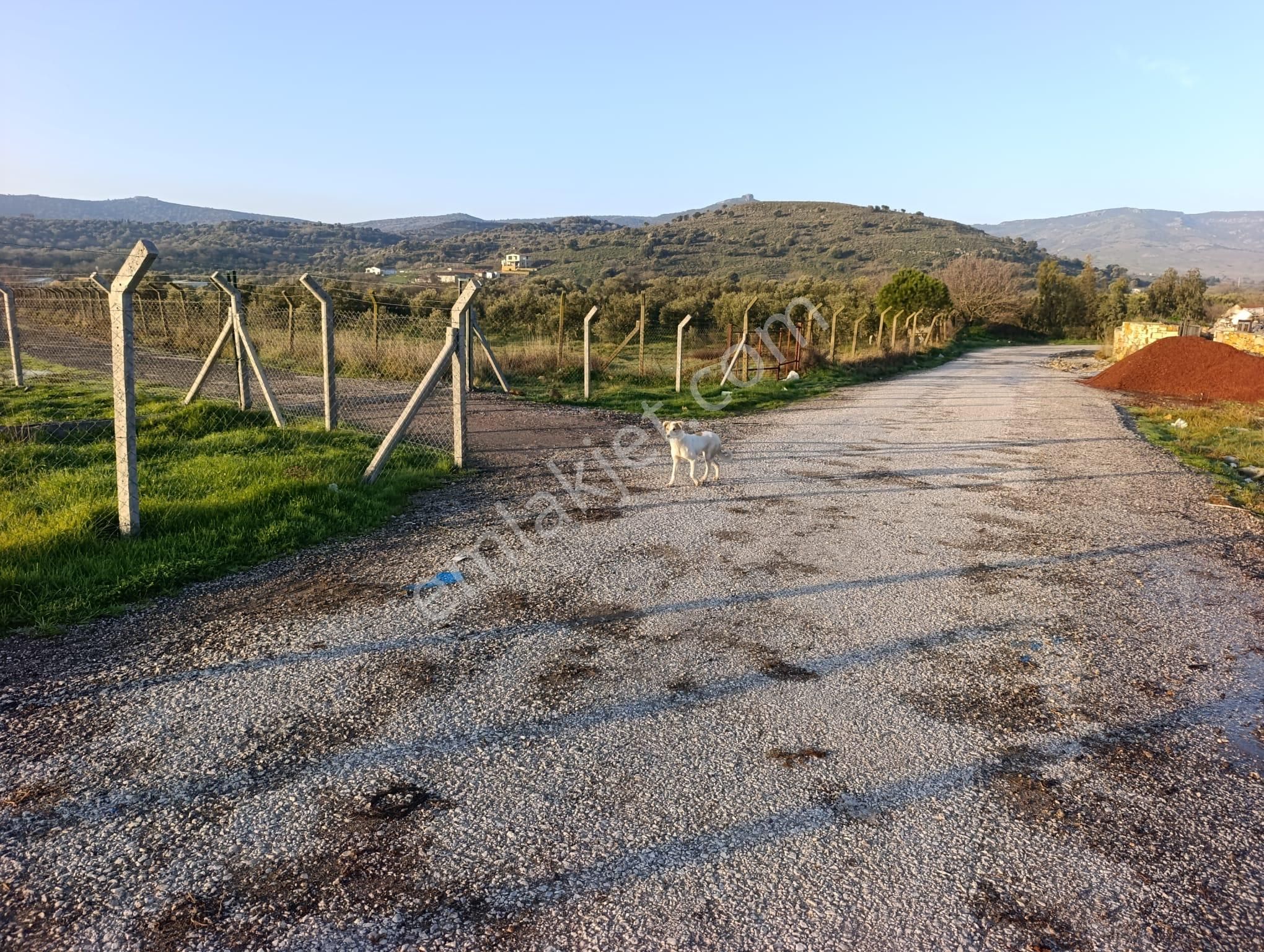 Foça Bucak Mevkiinde Satılık 1500m2 Hisse Tapulu Arazi - Görsel 11