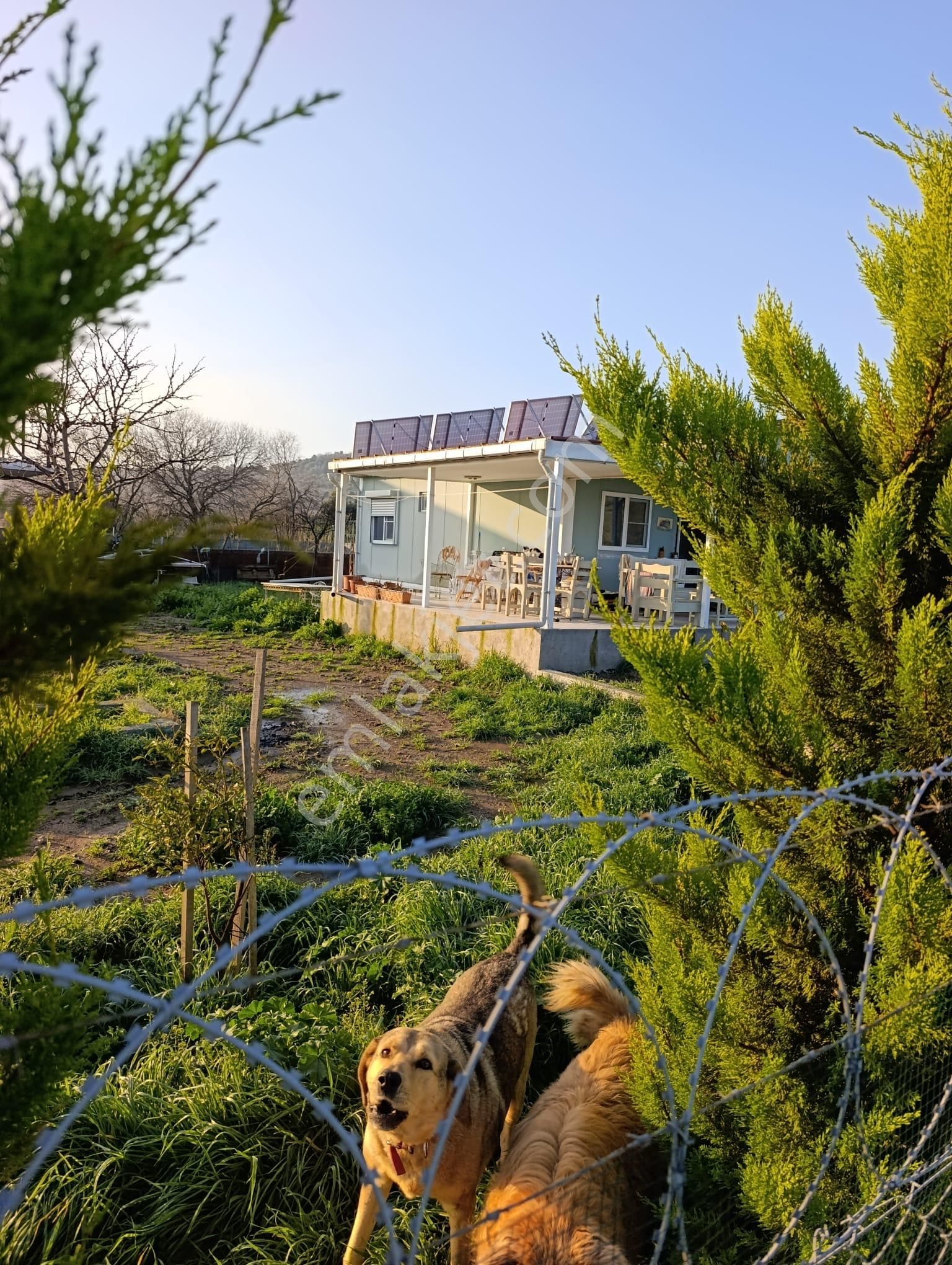Foça Bucak Mevkiinde Satılık 1500m2 Hisse Tapulu Arazi