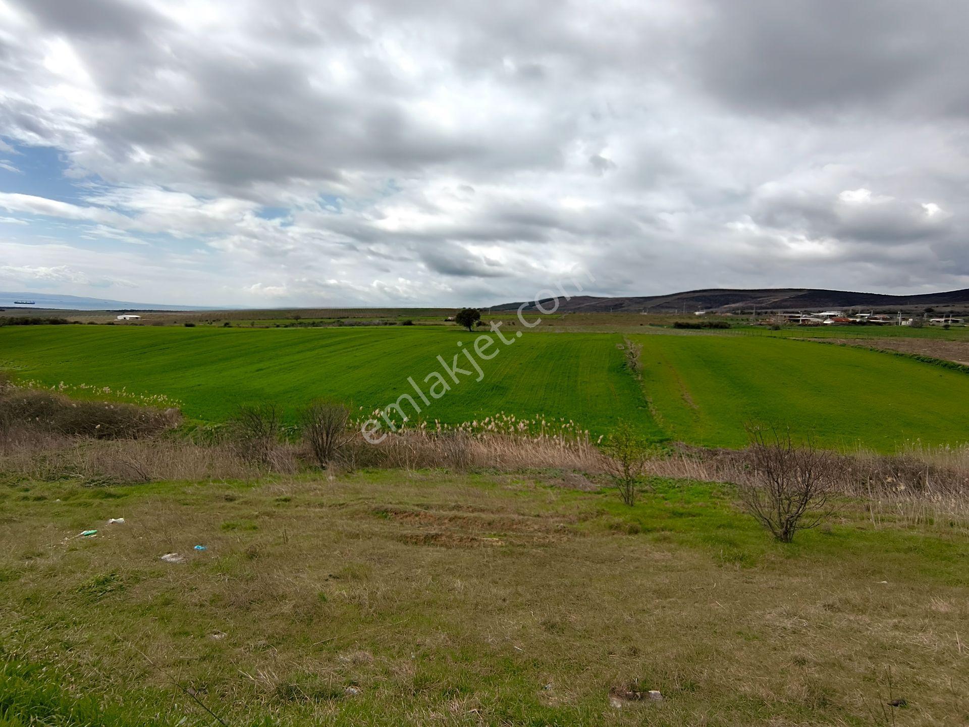 Bulut Yatırımdan 4215 M² Merkeze Yakın Resmi Yolu Olan Deniz Manzaralı Tarla - Görsel 8