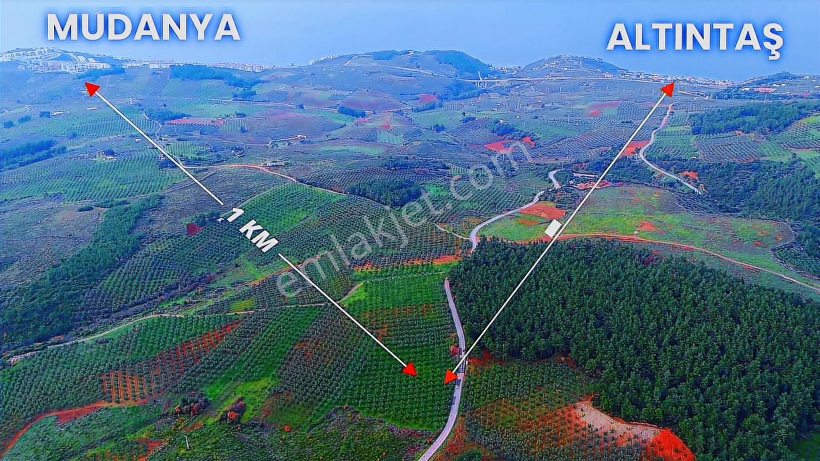 Akram'dan Göynüklü'de Asfalta Cephe İmara 400 Metre Tarla - Görsel 2