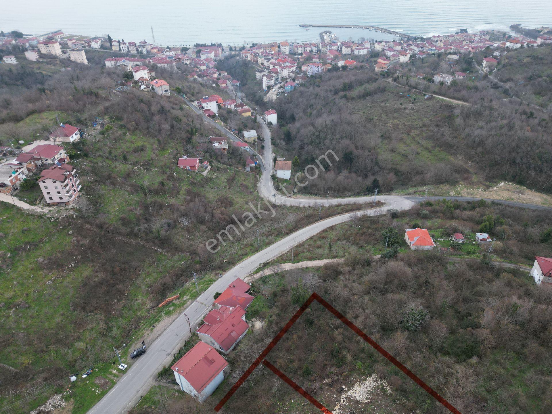 817 -( M)-perşembe / Hamidiye De 16 Dairelik Proje Yapılabilen Satılık 2 Parsel Yan Yana - Görsel 2