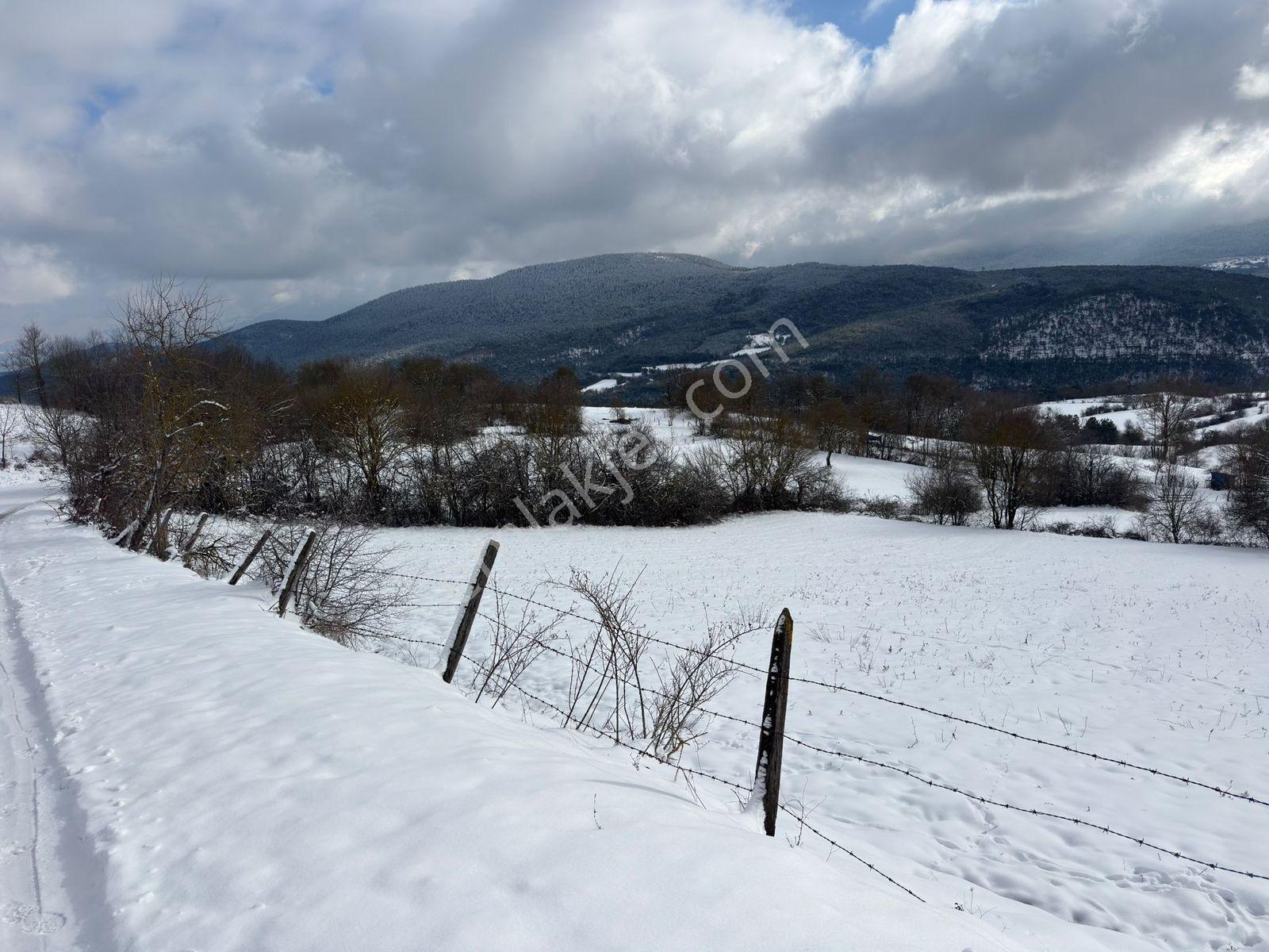 Piroğlu Köyü Yerleşik Alan Sınırında Yatırımlık Yol Kenarı Tarla - Görsel 2
