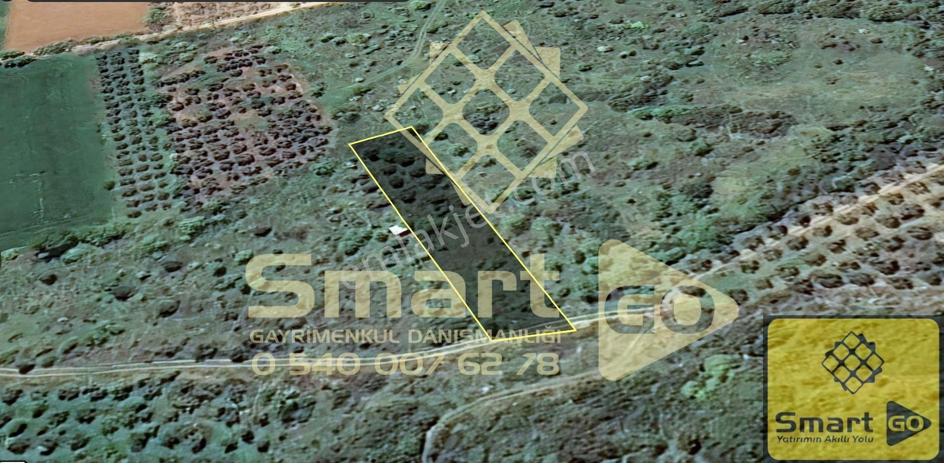 Edincik'de 1.290 M² Satılık Bağ - Görsel 6