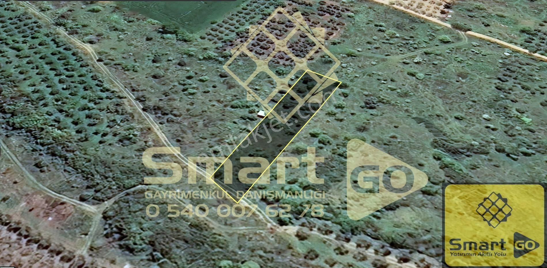 Edincik'de 1.290 M² Satılık Bağ - Görsel 27