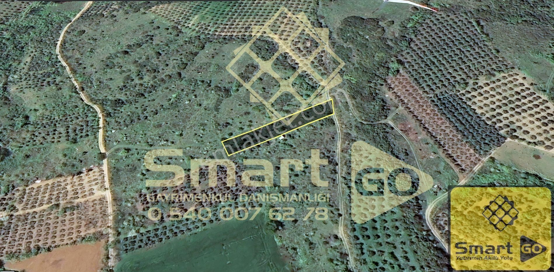 Edincik'de 1.290 M² Satılık Bağ - Görsel 9