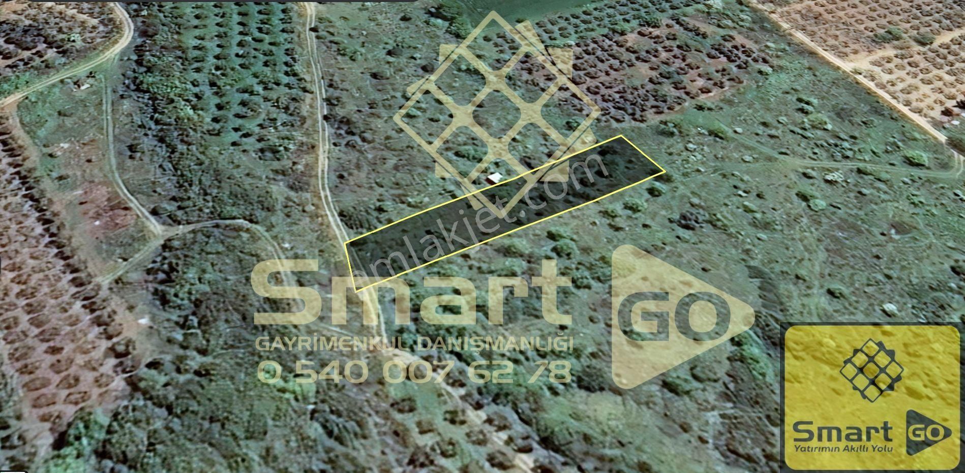 Edincik'de 1.290 M² Satılık Bağ - Görsel 3