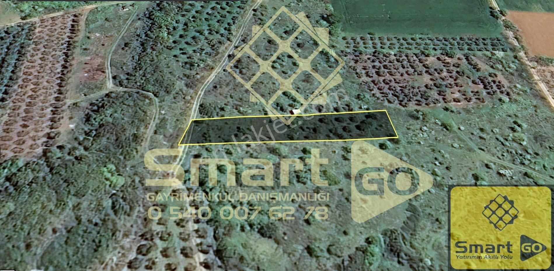 Edincik'de 1.290 M² Satılık Bağ - Görsel 25