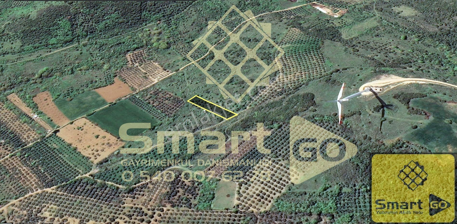 Edincik'de 1.290 M² Satılık Bağ - Görsel 7