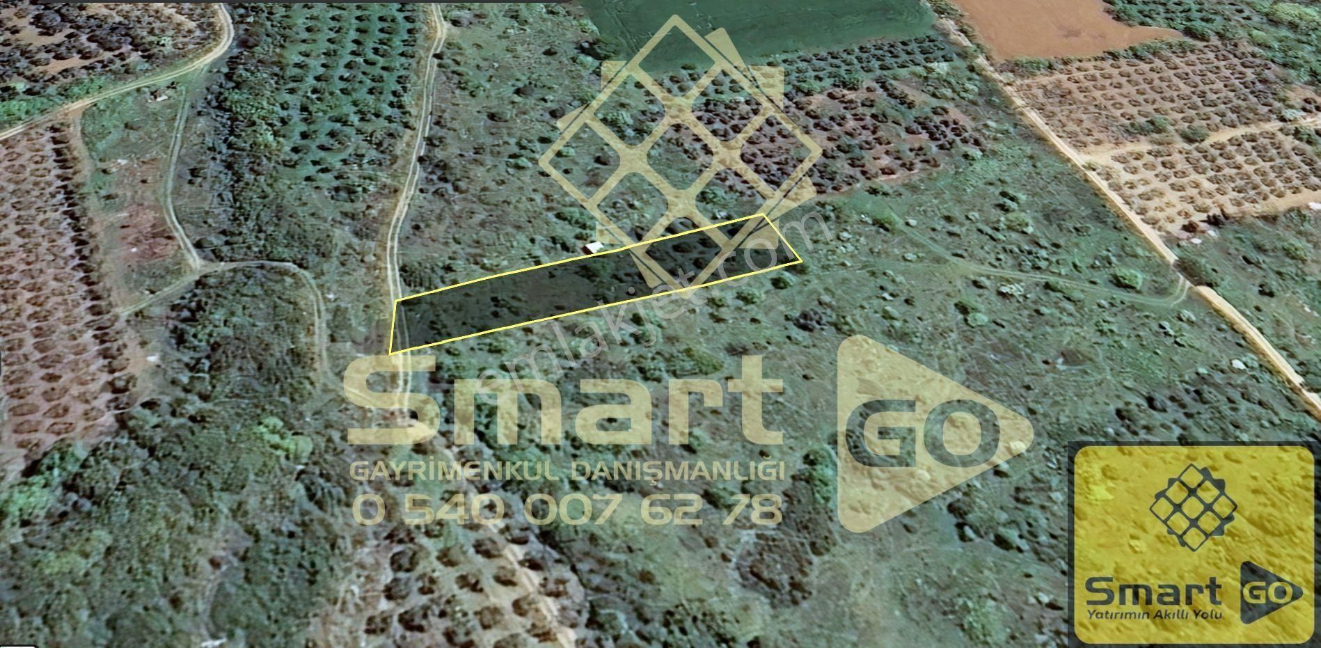 Edincik'de 1.290 M² Satılık Bağ - Görsel 14