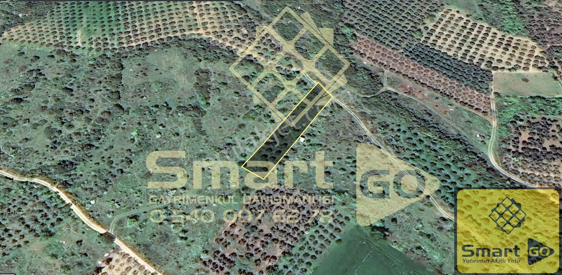 Edincik'de 1.290 M² Satılık Bağ - Görsel 10