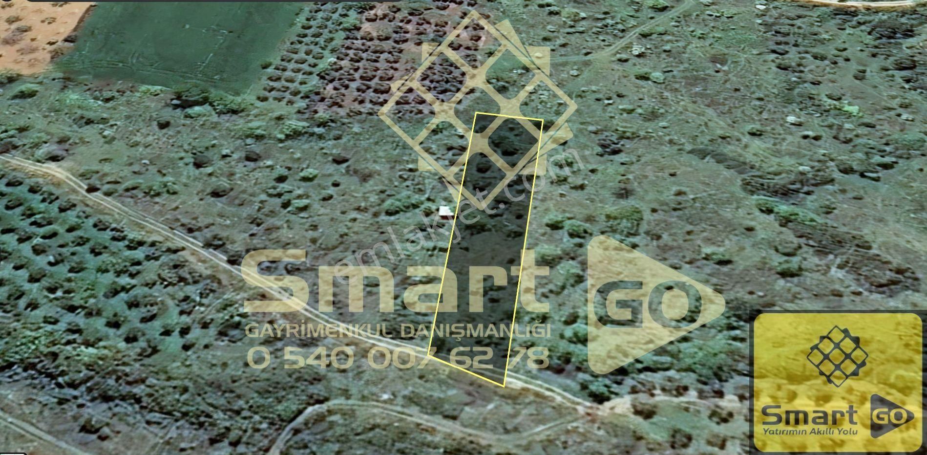 Edincik'de 1.290 M² Satılık Bağ - Görsel 5