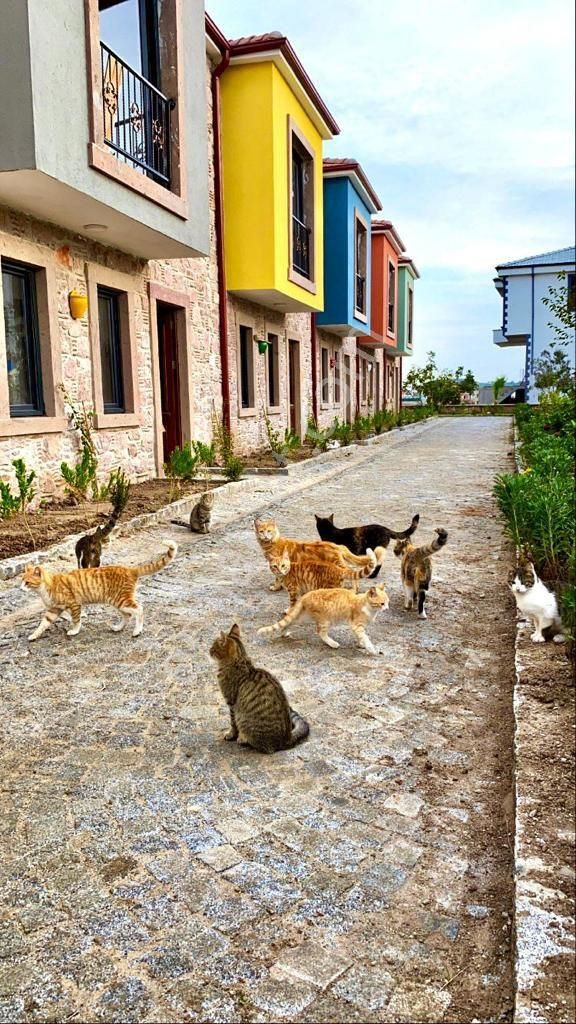Taş Emlak'tan Küçükköyde Site İçinde Sıfır Villa - Görsel 10