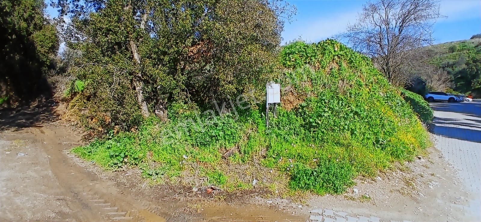 Aydın Nazilli İsabeyli İmar Sınırında Satılık Tarla Zeytinlik - Görsel 29