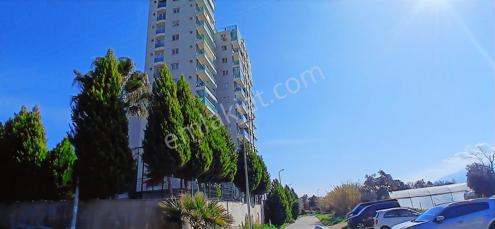 Aydın Nazilli İsabeyli İmar Sınırında Satılık Tarla Zeytinlik - Görsel 19