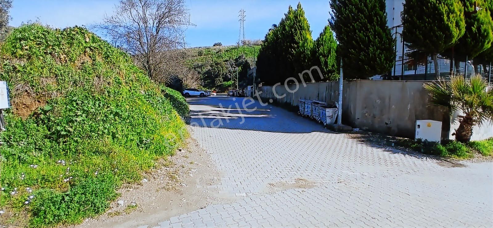 Aydın Nazilli İsabeyli İmar Sınırında Satılık Tarla Zeytinlik - Görsel 20