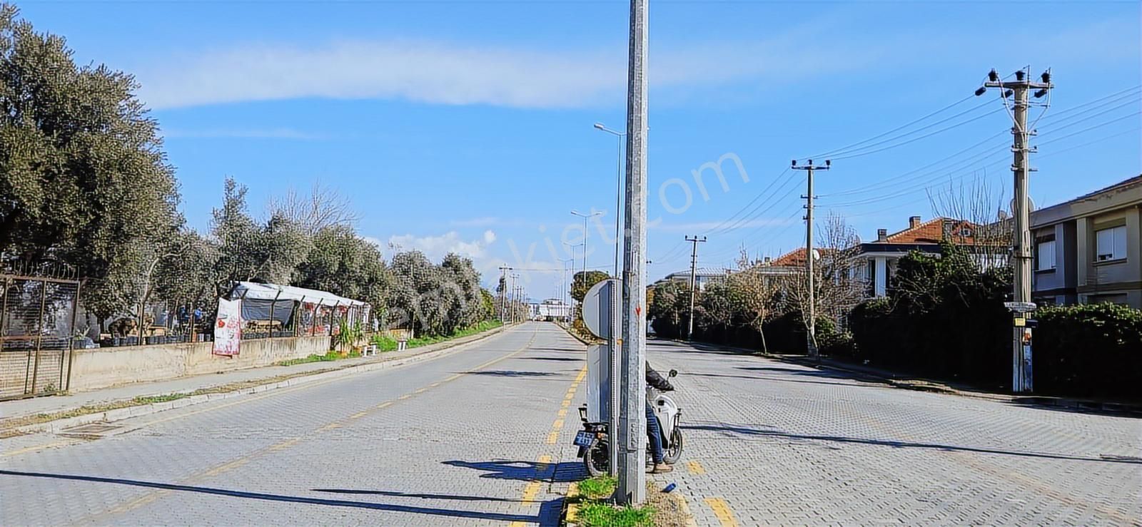 Aydın Nazilli İsabeyli İmar Sınırında Satılık Tarla Zeytinlik - Görsel 21