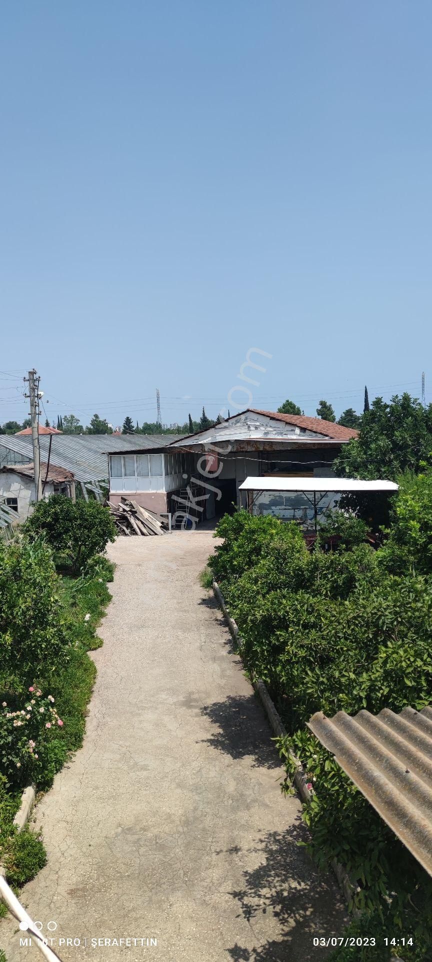 Sahibinden Kiralık - Görsel 3