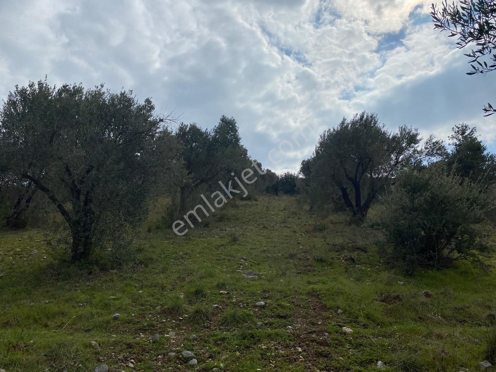 Torbalı Emlaktan Yazıbaşı'da Yatırım İçin Uygun 6025m2 Tek Tapu Müstakil Parsel Arazimiz Satılıktr - Görsel 26