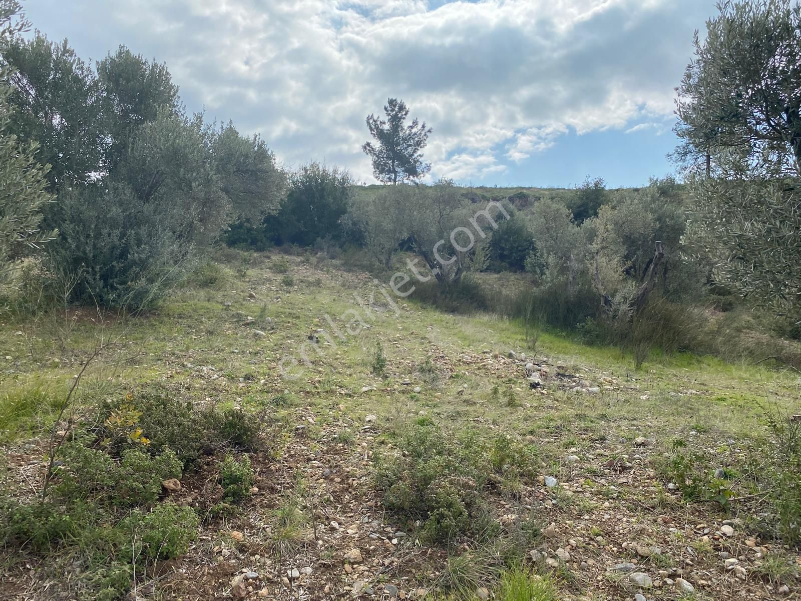 Torbalı Emlaktan Yazıbaşı'da Yatırım İçin Uygun 6025m2 Tek Tapu Müstakil Parsel Arazimiz Satılıktr - Görsel 8