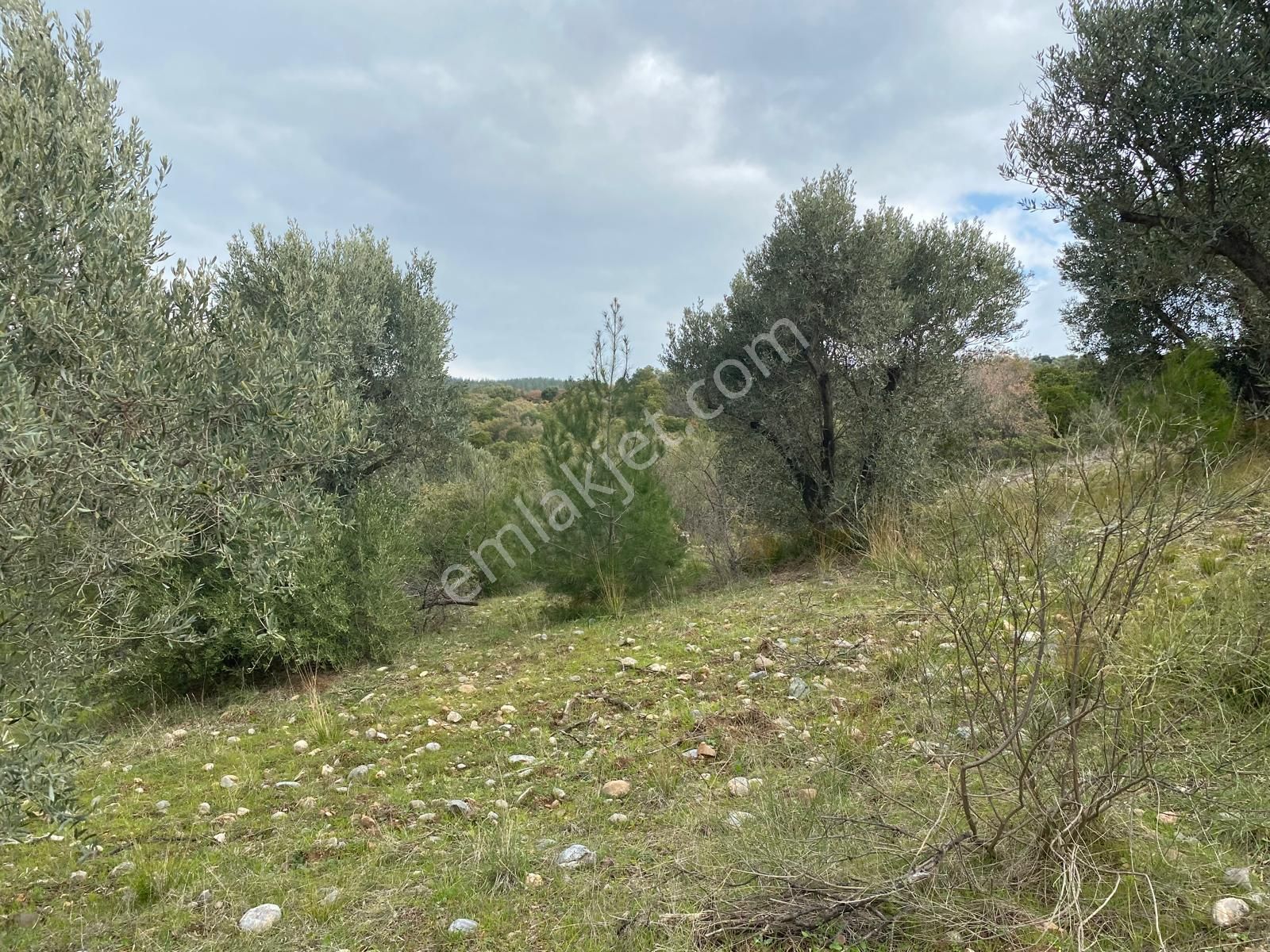 Torbalı Emlaktan Yazıbaşı'da Yatırım İçin Uygun 6025m2 Tek Tapu Müstakil Parsel Arazimiz Satılıktr - Görsel 21