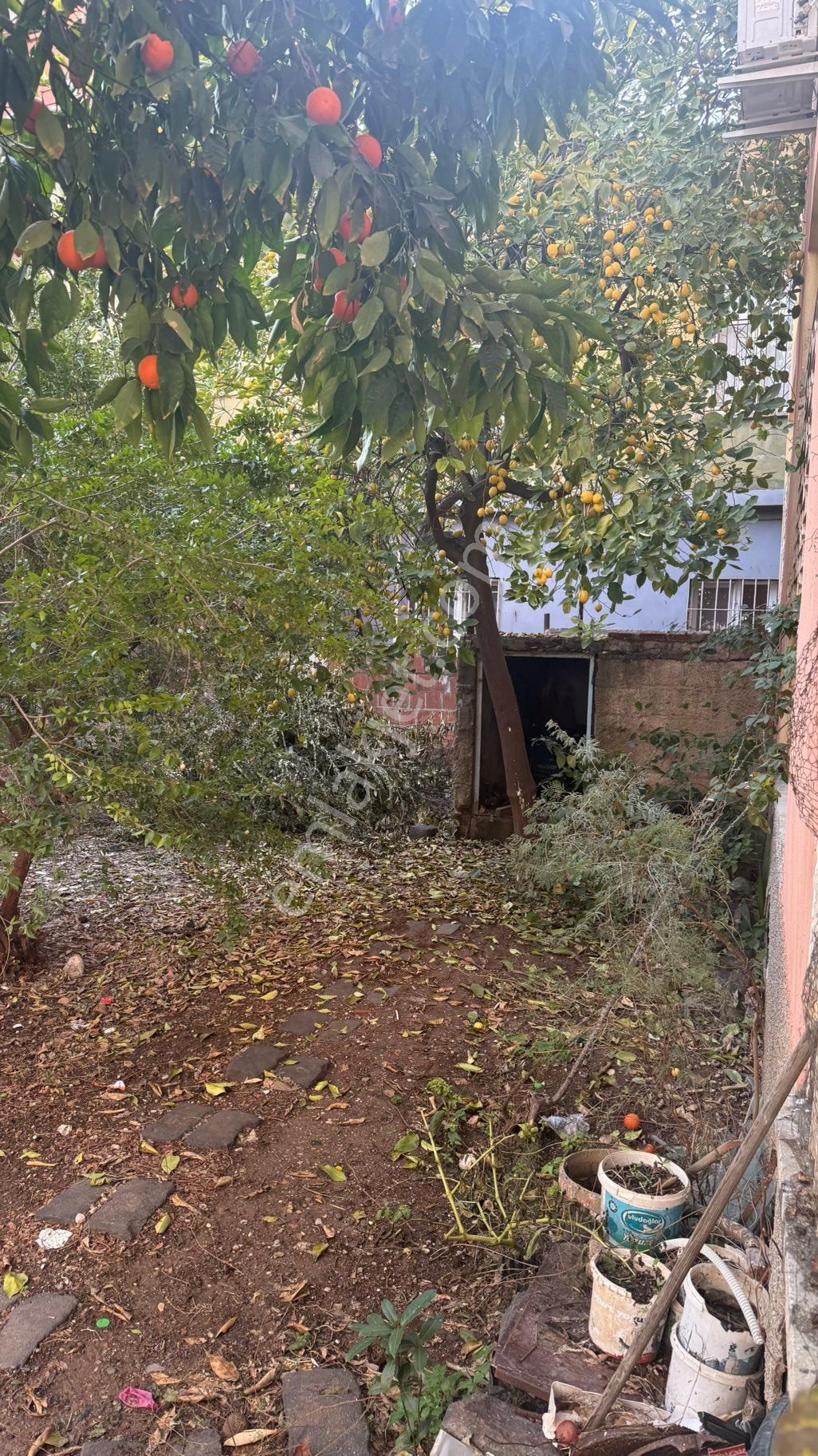 Namık Kemalde Bahçeli Müstakil 3 Katlı Ev - Görsel 5