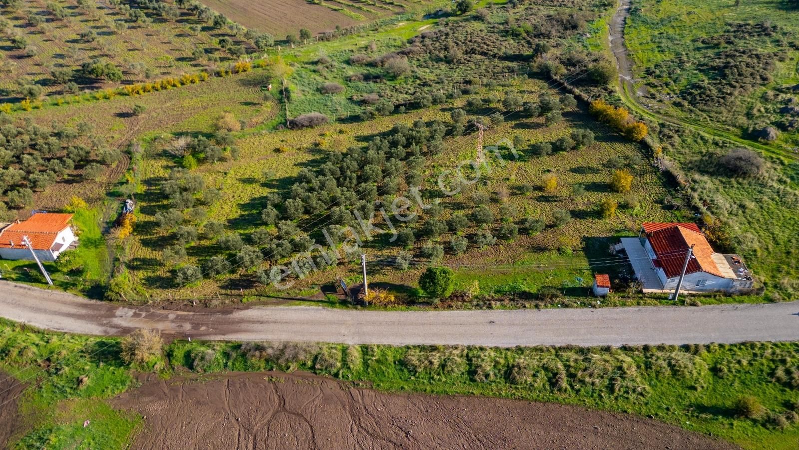 Foça Yenibağarası Mahallesinde Satılık Tarla Ve Ev - Görsel 19