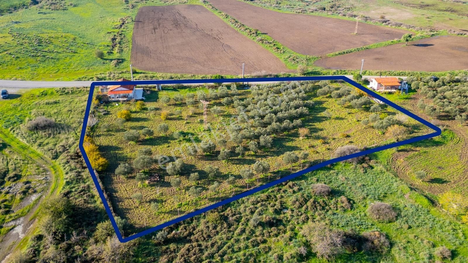 Foça Yenibağarası Mahallesinde Satılık Tarla Ve Ev - Görsel 35