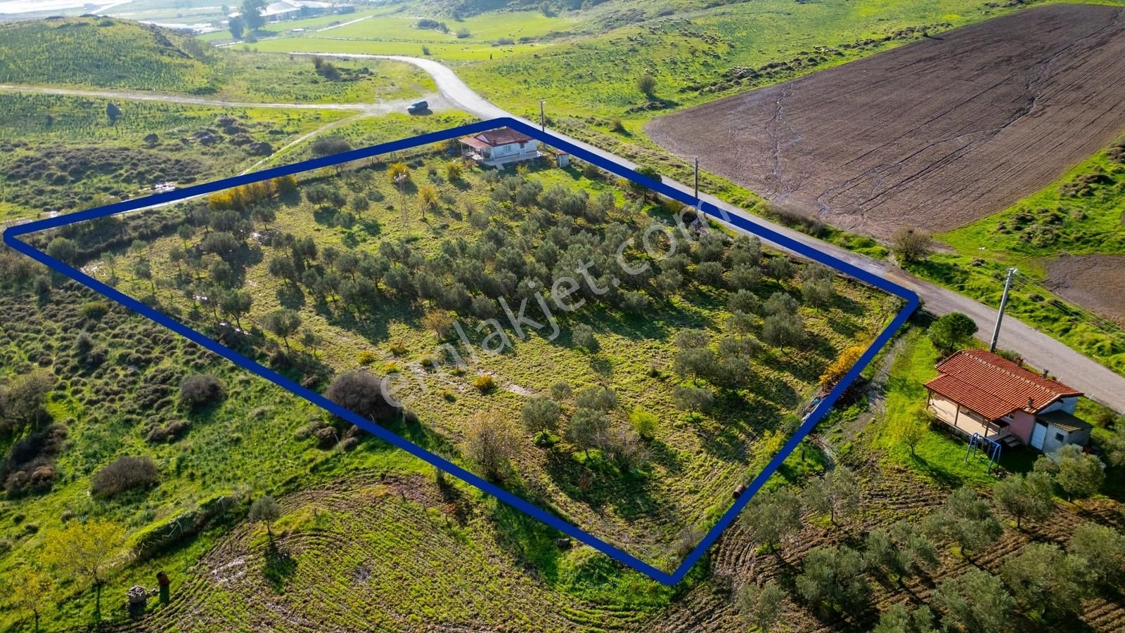 Foça Yenibağarası Mahallesinde Satılık Tarla Ve Ev - Görsel 23