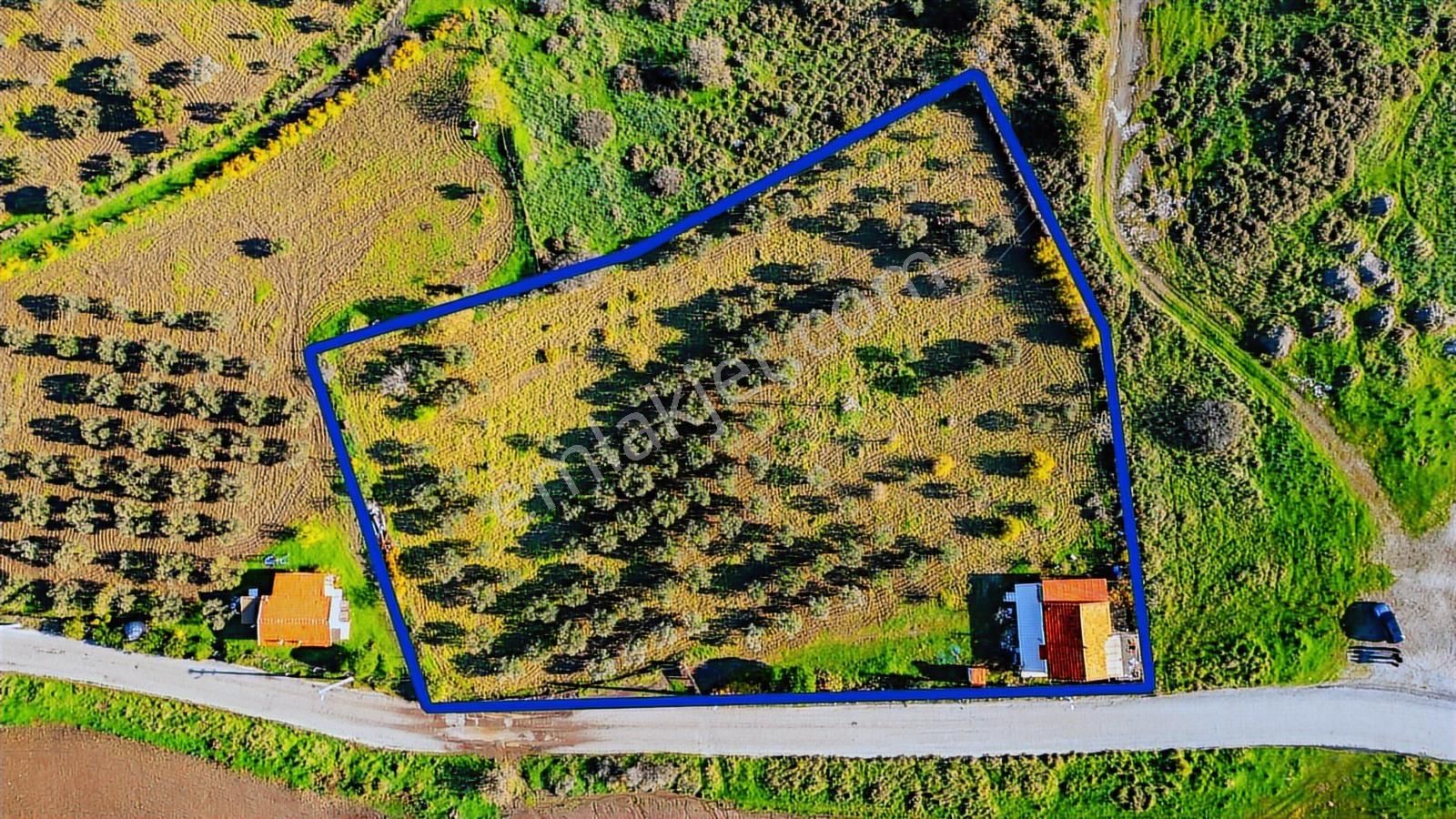 Foça Yenibağarası Mahallesinde Satılık Tarla Ve Ev - Görsel 33