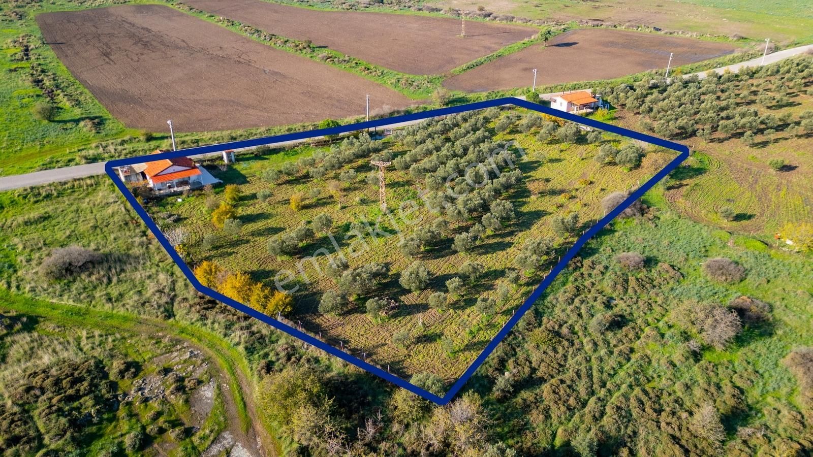 Foça Yenibağarası Mahallesinde Satılık Tarla Ve Ev - Görsel 6