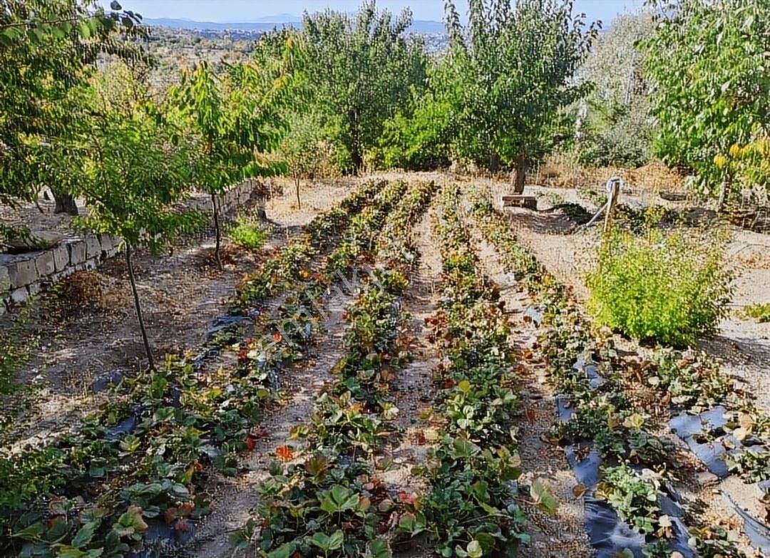 Hacılar Aşağı Mahallede Manzaralı 650m2 Uygun Villa Parseli - Görsel 10