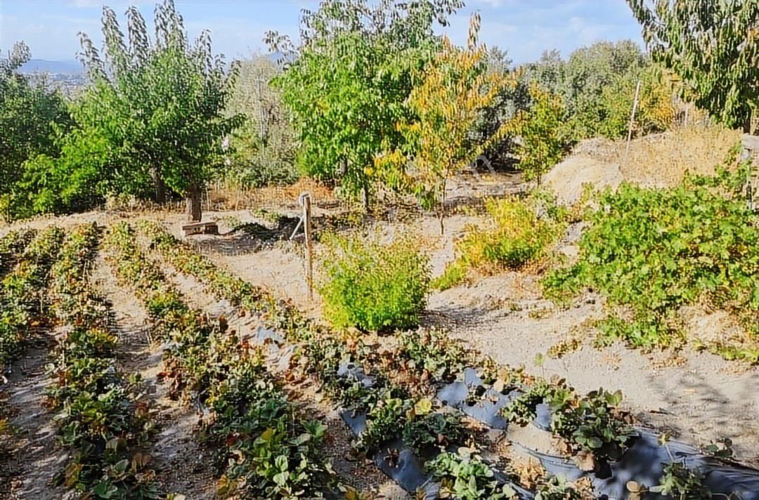 Hacılar Aşağı Mahallede Manzaralı 650m2 Uygun Villa Parseli - Görsel 15