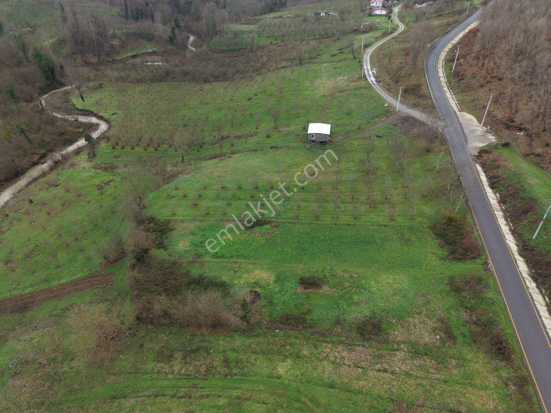 Sakarya Hendek Gündoğan'da Satılık 832 M² İmarlı Arsa - Görsel 10