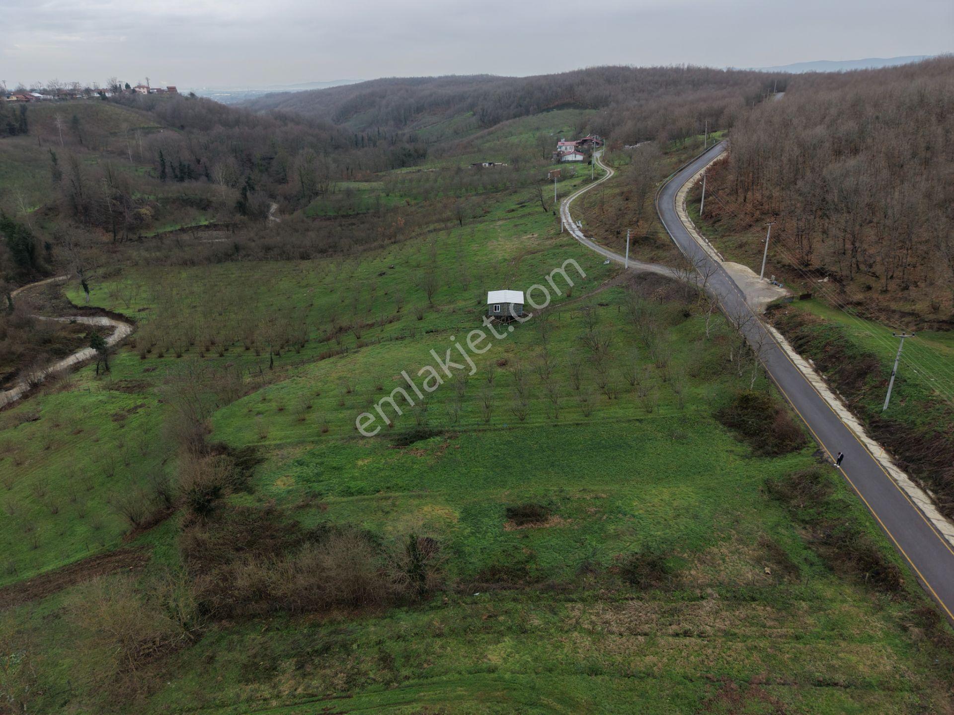 Sakarya Hendek Gündoğan'da Satılık 832 M² İmarlı Arsa - Görsel 35