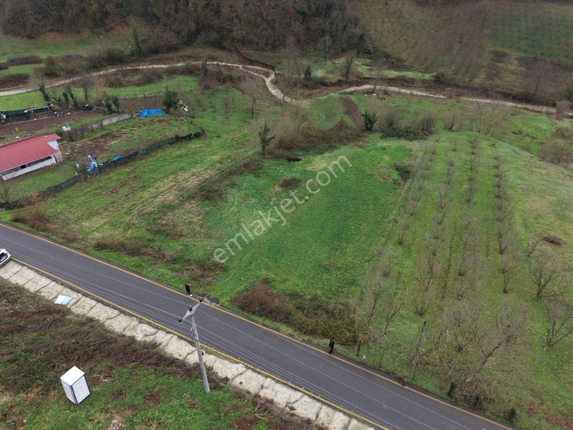 Sakarya Hendek Gündoğan'da Satılık 832 M² İmarlı Arsa - Görsel 21