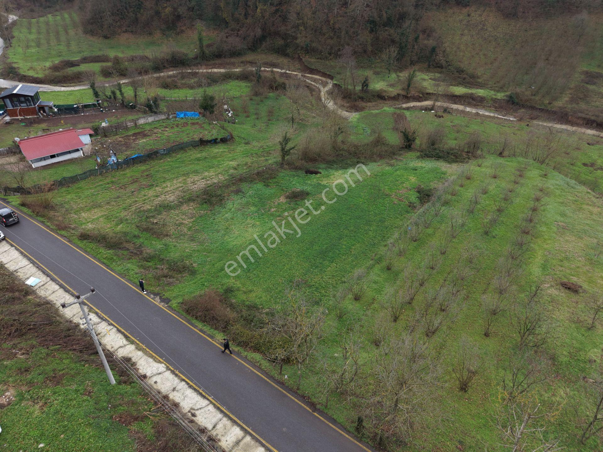 Sakarya Hendek Gündoğan'da Satılık 832 M² İmarlı Arsa - Görsel 22