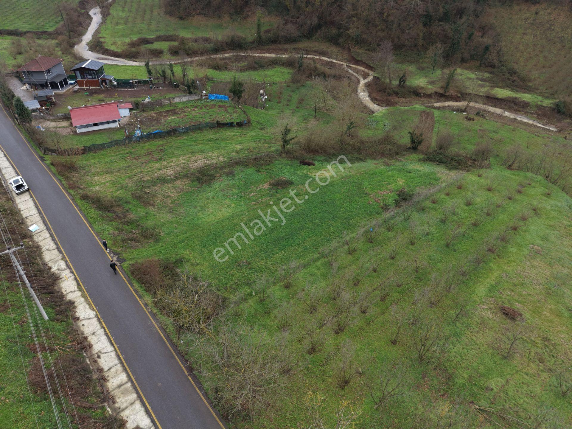Sakarya Hendek Gündoğan'da Satılık 832 M² İmarlı Arsa - Görsel 23