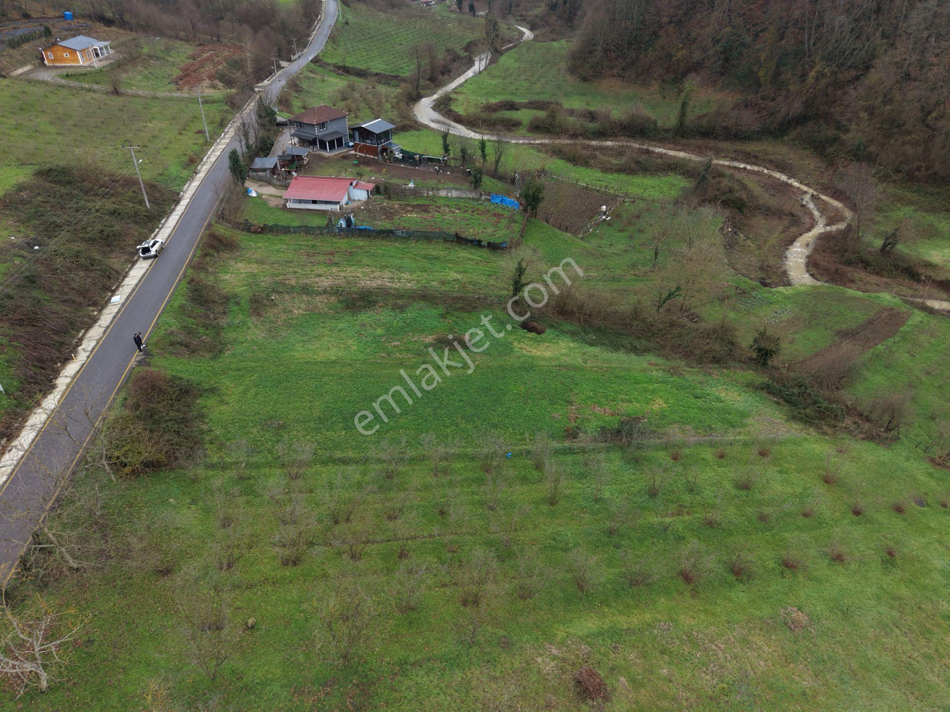 Sakarya Hendek Gündoğan'da Satılık 832 M² İmarlı Arsa - Görsel 25