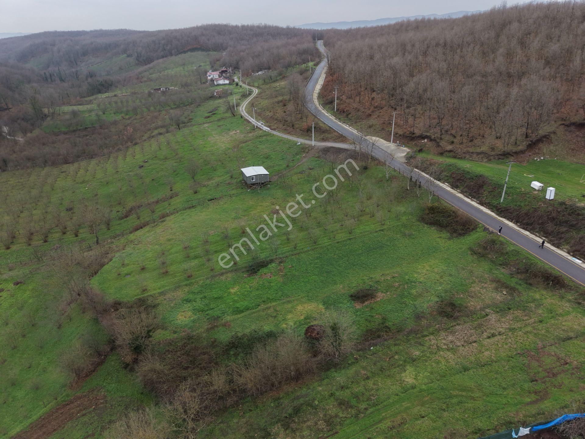 Sakarya Hendek Gündoğan'da Satılık 832 M² İmarlı Arsa - Görsel 34