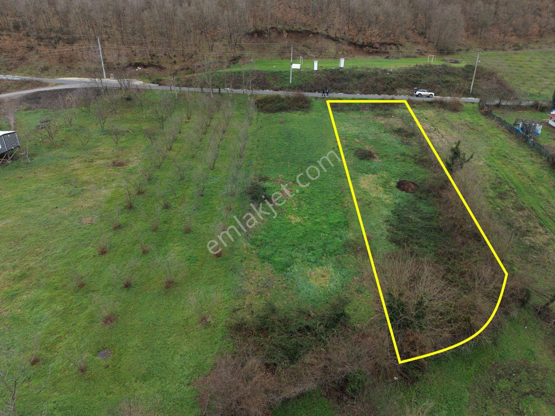 Sakarya Hendek Gündoğan'da Satılık 832 M² İmarlı Arsa - Görsel 31