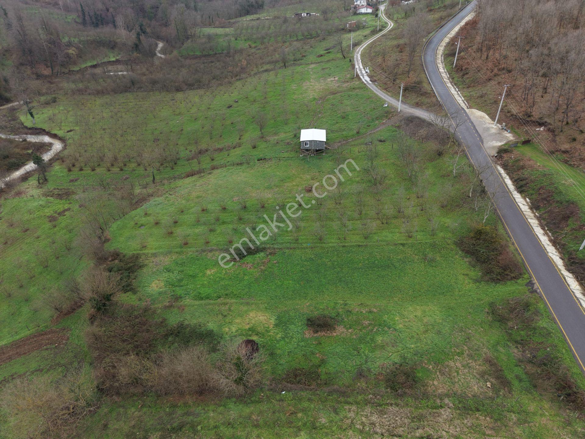 Sakarya Hendek Gündoğan'da Satılık 832 M² İmarlı Arsa - Görsel 13