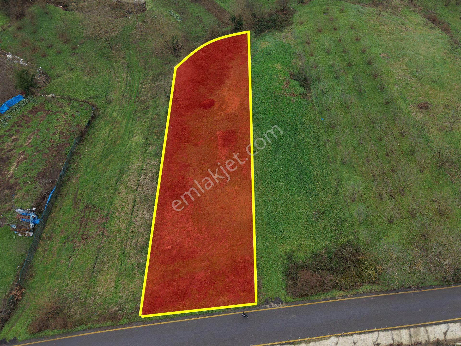 Sakarya Hendek Gündoğan'da Satılık 832 M² İmarlı Arsa - Görsel 2