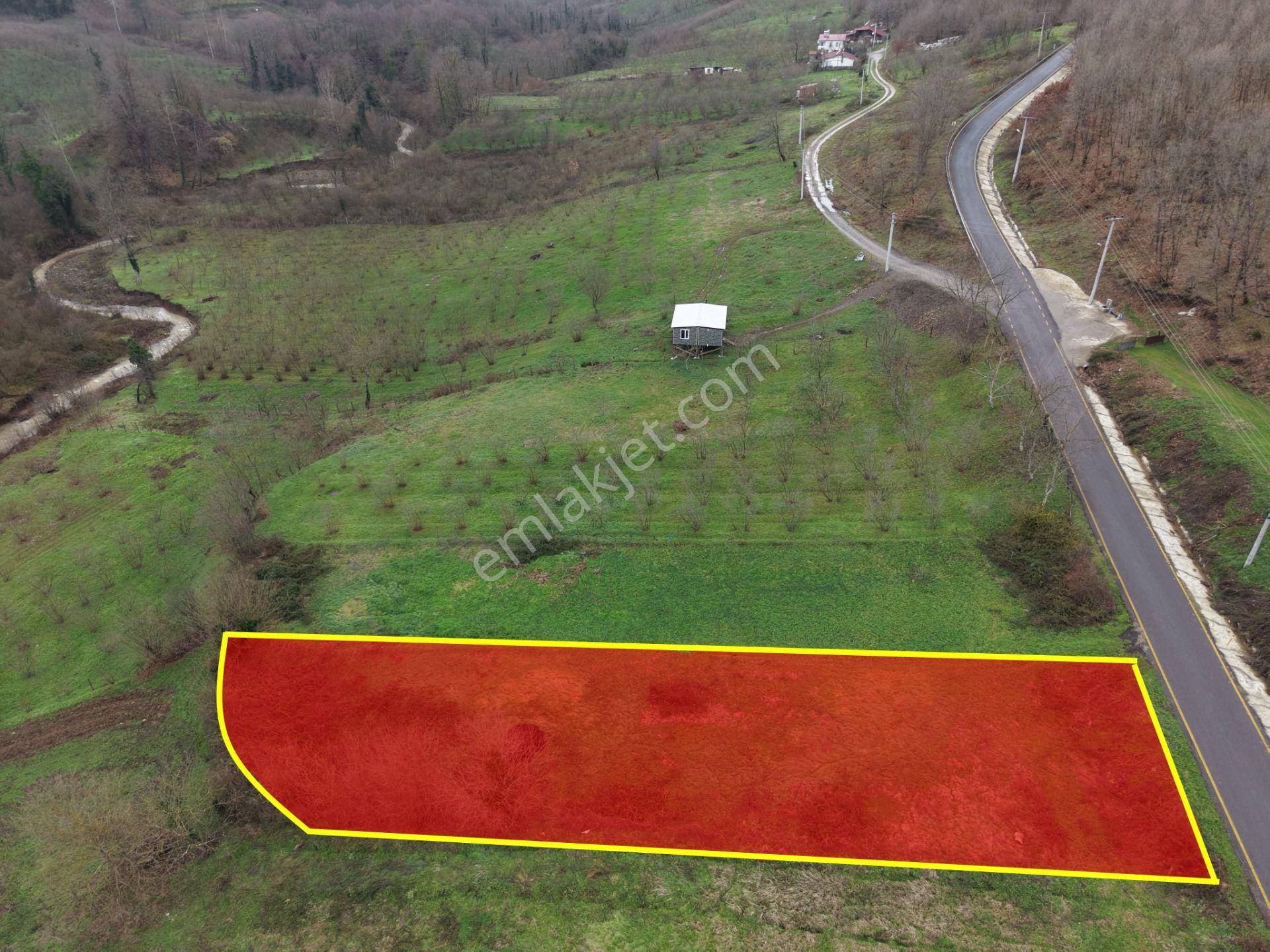 Sakarya Hendek Gündoğan'da Satılık 832 M² İmarlı Arsa - Görsel 14