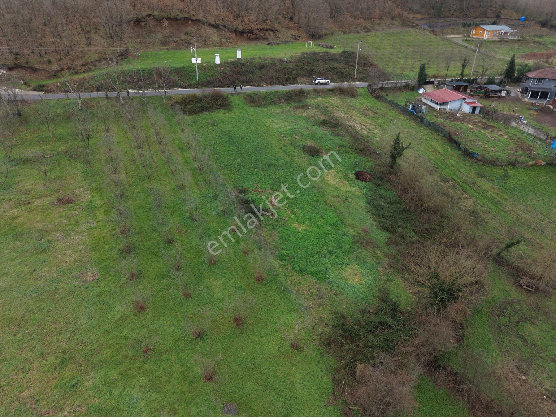 Sakarya Hendek Gündoğan'da Satılık 832 M² İmarlı Arsa - Görsel 30