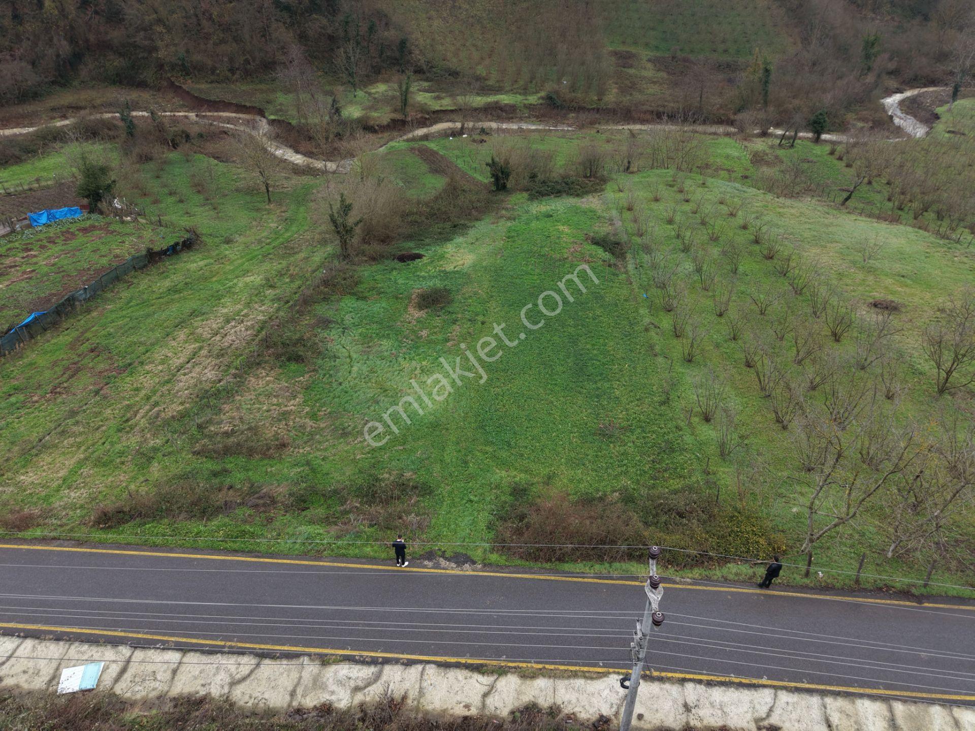 Sakarya Hendek Gündoğan'da Satılık 832 M² İmarlı Arsa - Görsel 19