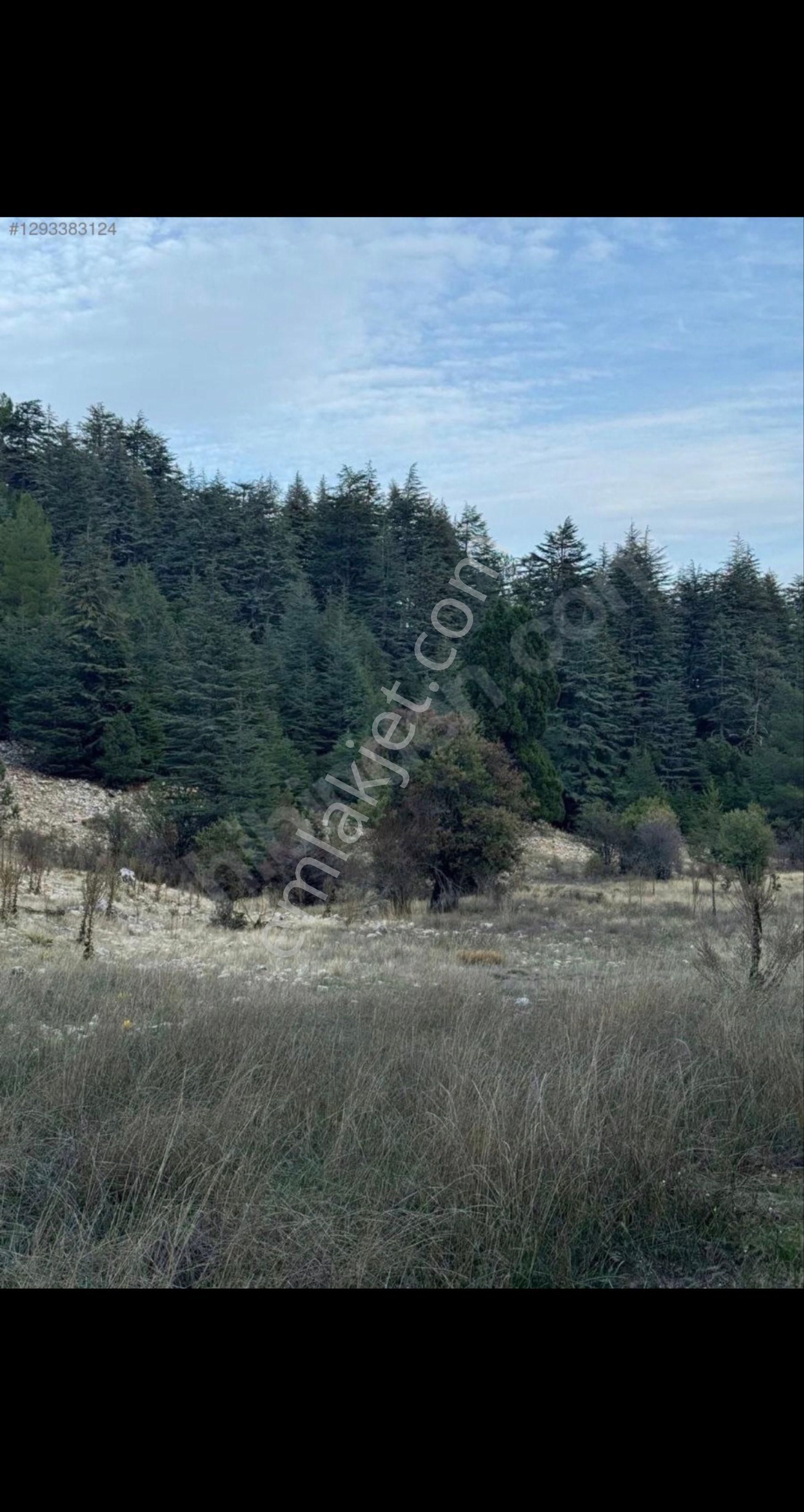Kaş Hacıoğlanda 2b 500m2 Doğa İle İç İçe Tarla