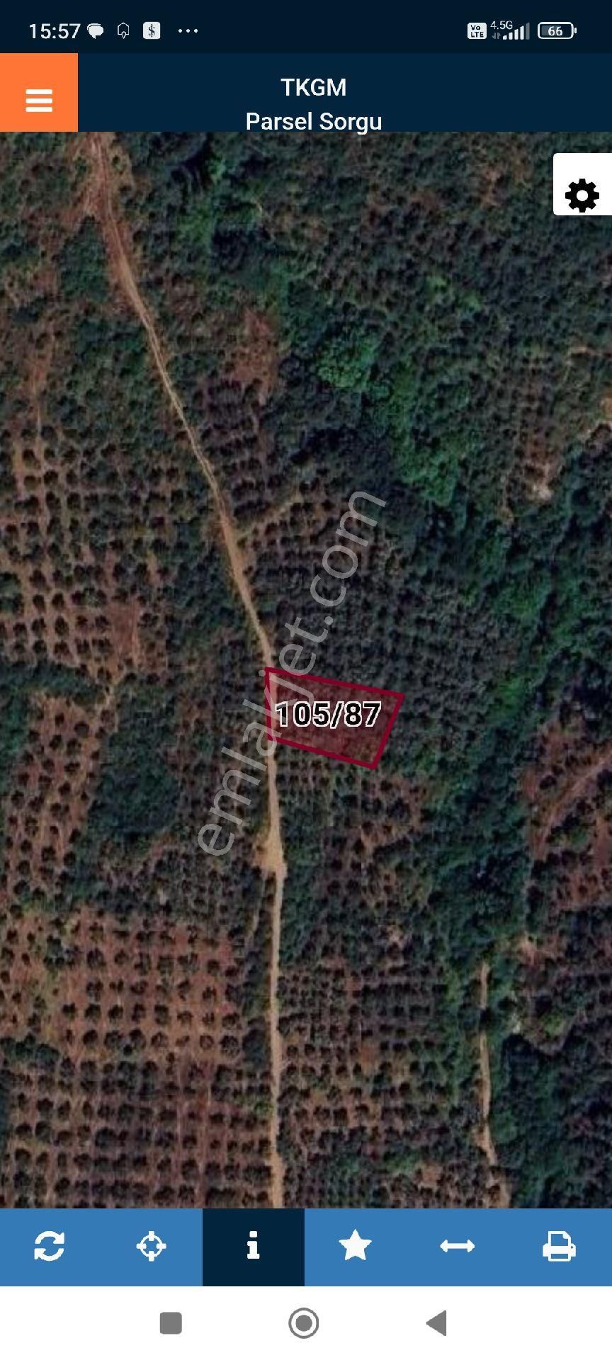 Bütçenize Uygun Zeytinlik