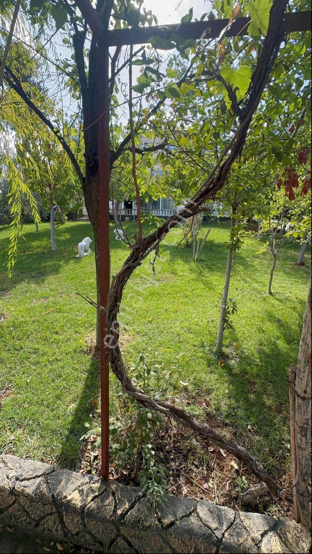 Satılık 5+1 Müstakil Villa – Geniş Arsa / Asfalta Sıfır - Görsel 10